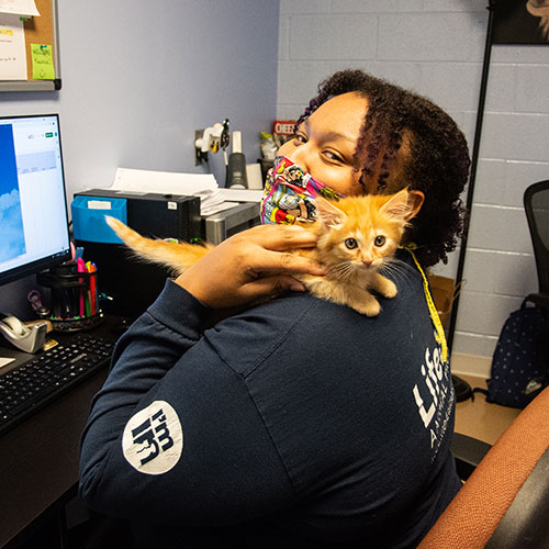 dcas staff member holding a kitten