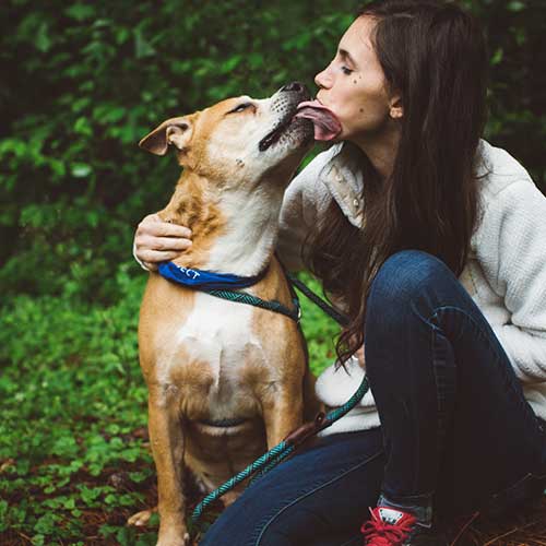 foster parent kissing her foster dog
