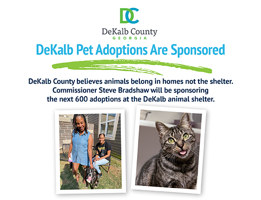 Adopt - DeKalb County Animal Services