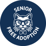 Senior cat free adoption